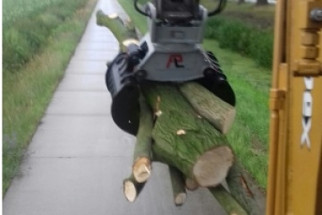 Omgewaaide bomen verwijderen