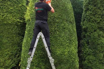 Groenvoorziening