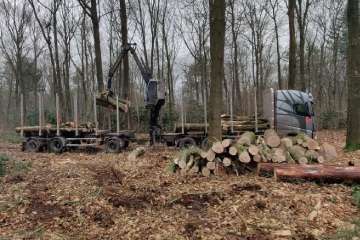 Bos uitdunnen landgoed Beekbergen