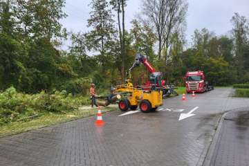 Bomen toppen en rooien Van der Valk hotel Lelystad