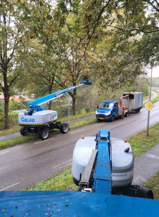 6600 Bomen snoeien voor gemeente Hoogeveen