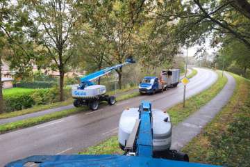 6600 Bomen snoeien voor gemeente Hoogeveen