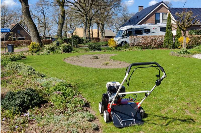 Gazononderhoud is één van de onderhoudstaken die wij als hovenier in Drenthe uitvoeren.