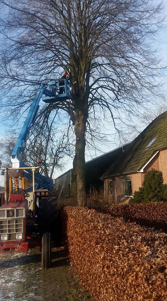 Je bomen snoeien in Amersfoort kunnen onze specialisten gemakkelijk voor jou doen.