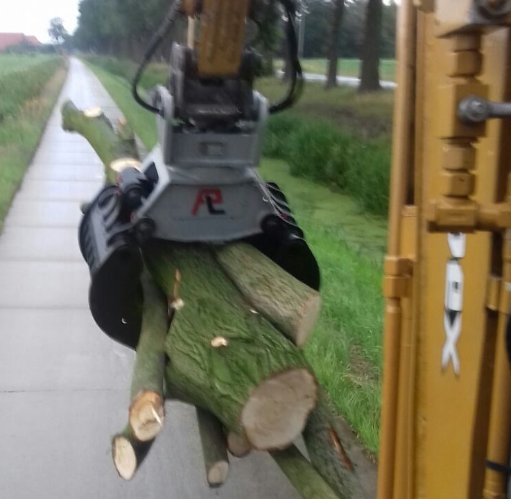 Bomen afvoeren na het kappen in Utrecht