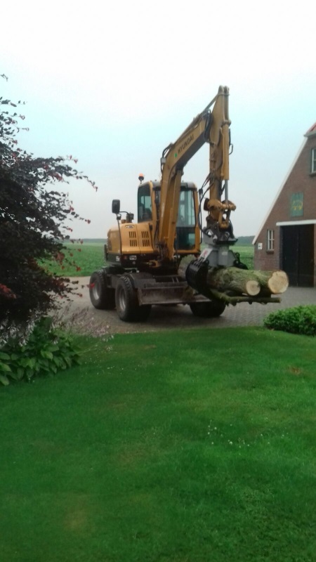 Bomen laten vellen door Groentechniek Klomp Bomen laten vellen