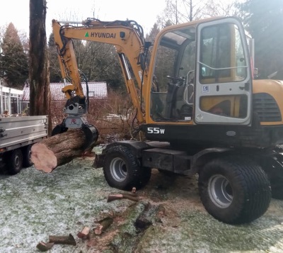 Bomen laten kappen in Heerenveen