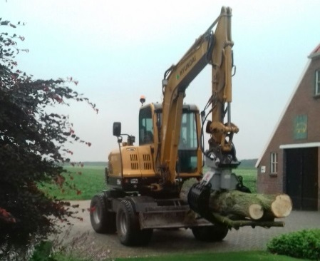 Bomen verwijderen Ommen