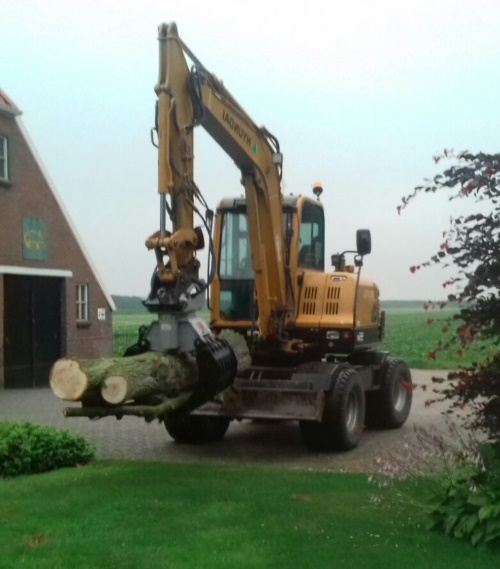 Bomen laten weghalen in Drachten