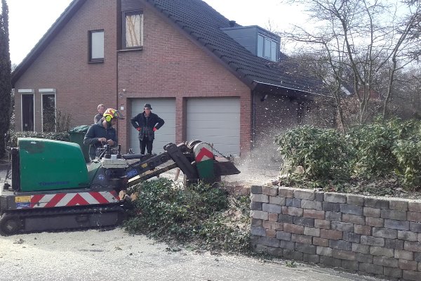 Door de boomstronk te frezen wordt deze met wortels en al uit je tuin verwijderd door de experts van Groentechniek Klomp.