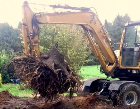Er zijn verschillende manieren om een volledige boomstronk met wortels te verwijderen.
