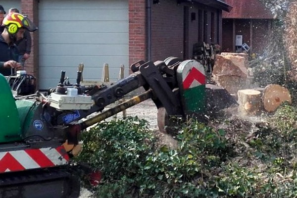 Bij stobbenfrezen wordt de boomstronk verwijderd inclusief de boomwortels, zodat je weer ruimte hebt in je tuin.