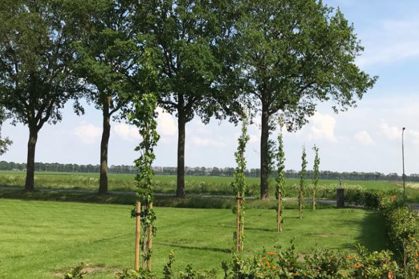 Bomen planten in Blaricum.