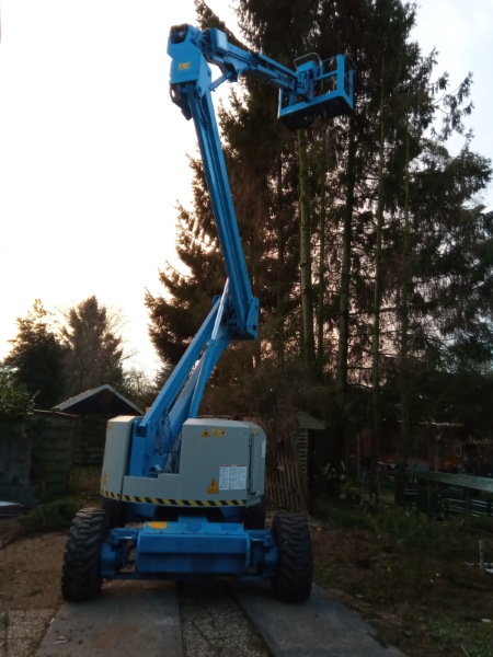 Bomen snoeien in Hengelo