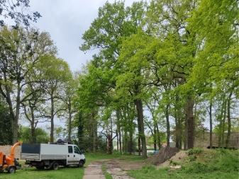 Groentechniek Klomp helpt met bomen snoeien in Nijkerk.