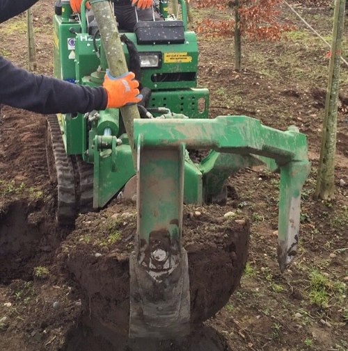 Bomen verplaatsen in Hengelo