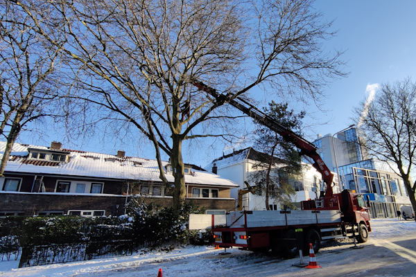 Als ondernemer of overheid is het verstandig om boomonderhoud uit te besteden aan de gecertificeerde boomverzorgers van Groentechniek Klomp.