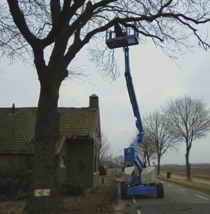 De boomverzorger voor Drenthe