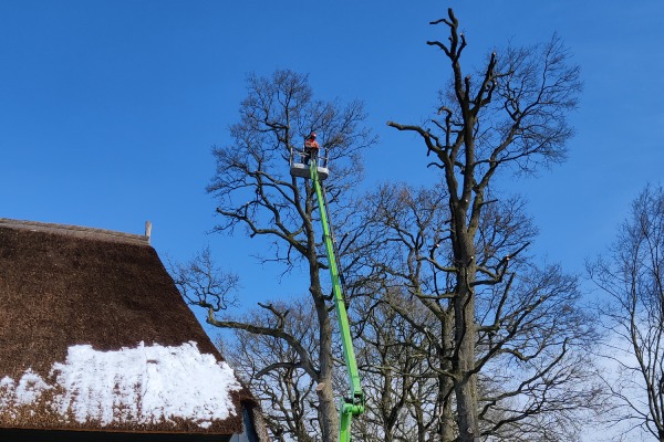 Boomverzorger van Groentechniek Klomp gebruikt een hoogwerker op om op grote hoogte de top van een boom te snoeien.