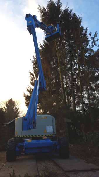 Bomen verzorgen in Amstelveen door Groentechniek Klomp Boomverzorging in Amstelveen door Groentechniek Klomp