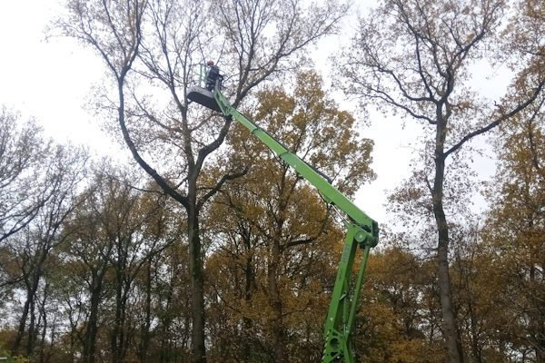 Laat jouw bomen professioneel snoeien door de gespecialiseerde boomverzorgers van Groentechniek Klomp.