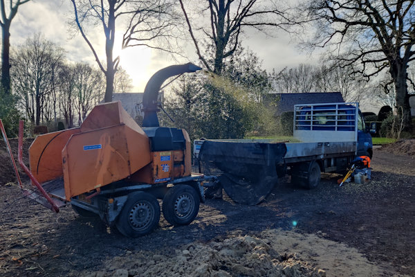 Het snoeien van je bomen doen de boomverzorgers van Groentechniek Klomp graag voor je.