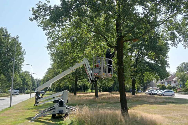 Zowel voor het bestrijden van boomziektes als boom plagen komen onze experts graag bij je langs.