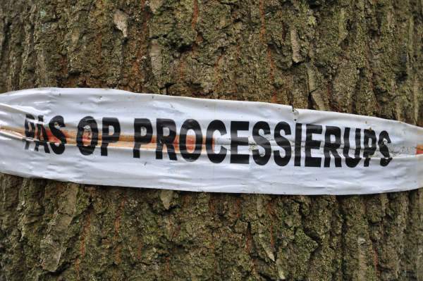 Groentechniek Klomp is specialist in de bestrijding van de eikenprocessierups