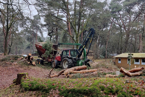 Bosonderhoud uitbesteden aan Groentechniek Klomp zorgt voor een gezond en vruchtbaar bos.