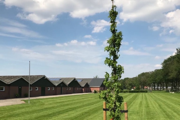 Onze specialisten zijn er voor het groen onderhuod van bedrijven, overheden en semi-overheden.