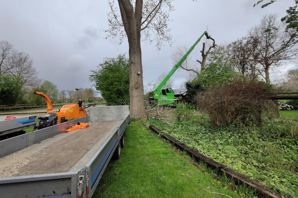 Boomverzorging is ook onderdeel van het groen onderhoud dat je kunt laten uitvoeren door de specialisten van Groentechniek Klomp.