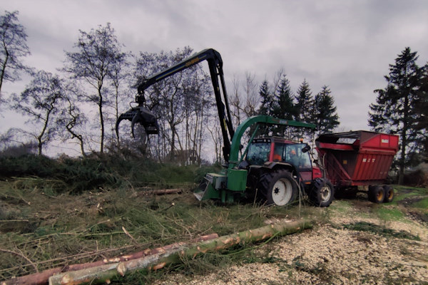 Laat jouw bosbeheer professioneel uitvoeren door de specialisten van Groentechniek Klomp.