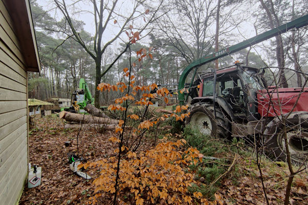 Voor professioneel bosonderhoud laat je de specialisten van Groentechniek Klomp langskomen.