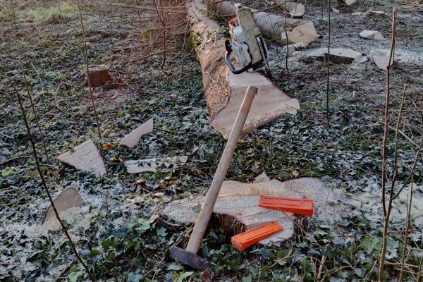 Groentechniek Klomp laat jouw bos uitgroeien tot een prachtig, gezond bos ✓ Jarenlang ervaring ✓ De juiste kennis ✓ Speciale klimtechnieken. Groentechniek Klomp laat jouw bos uitgroeien tot een prachtig, gezond bos ✓ Jarenlang ervaring ✓ De juiste kennis ✓ Speciale klimtechnieken.