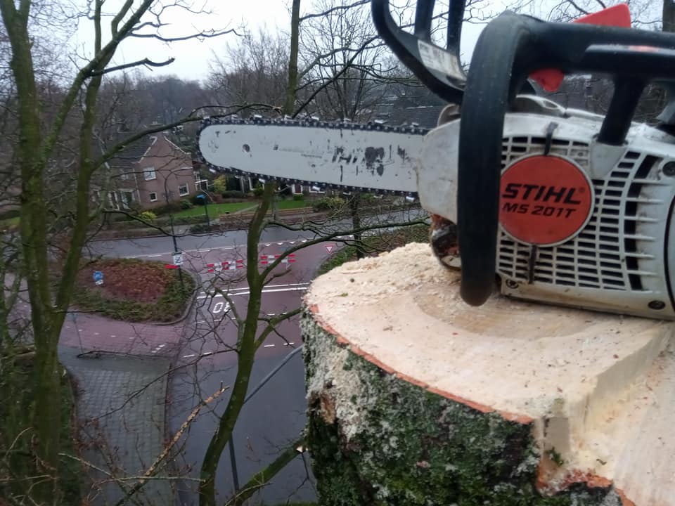 Bomen kappen in Emmen