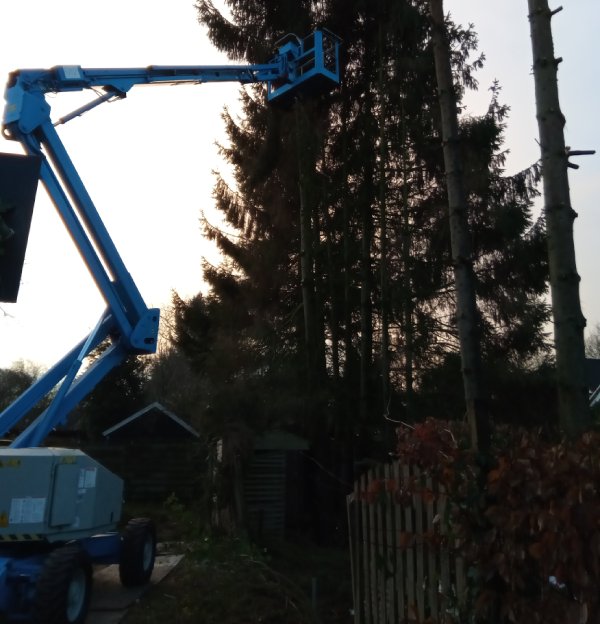 Bomen snoeien in Beilen