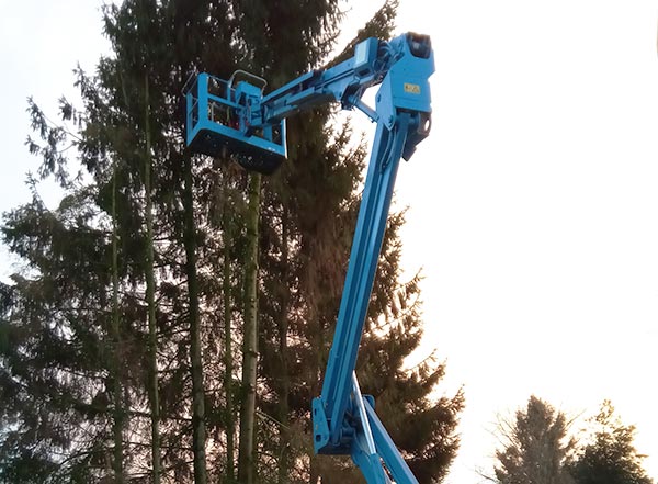 Is het nodig om je bomen te snoeien in Den Haag? Neem dan vrijblijvend contact op Is het nodig om je bomen te snoeien in Den Haag? Neem dan vrijblijvend contact op