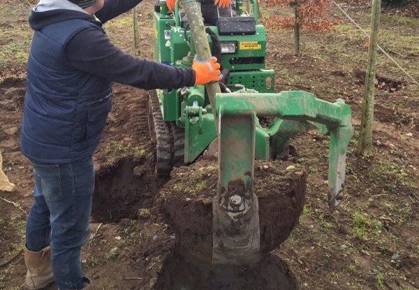 Bomen verplaatsen in Beilen