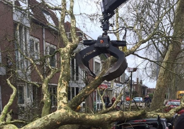 Omgewaaide bomen laten verwijderen in Dalfsen