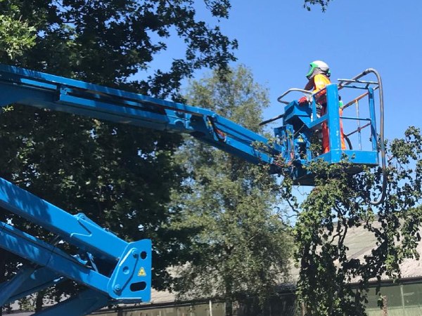 Groentechniek Klomp kan te hulp schieten bij het bestrijden van de processierups in Staphorst.