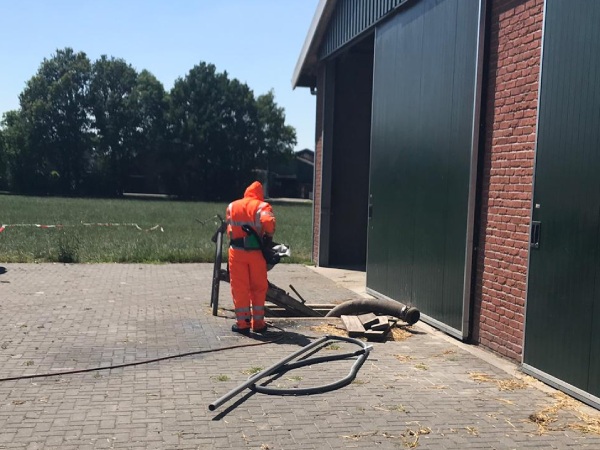 De eikenprocessierups in Dedemsvaart veroorzaakt veel overlast. Groentechniek Klomp is expert in bestrijding.