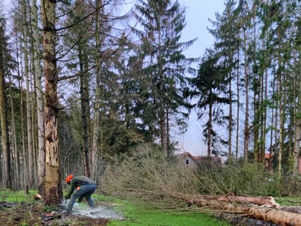 Voor professioneel landgoed onderhoud kun je rekenen op de ervaren boomverzorgers van Groentechniek Klomp.