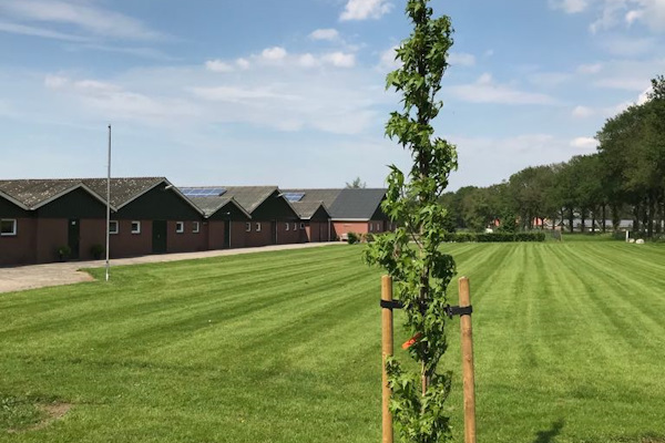 Het onderhoud van groenvoorzieningen laat je met een gerust hart over aan de gecertificeerde boomverzorgers en hoveniers van Groentechniek Klomp.