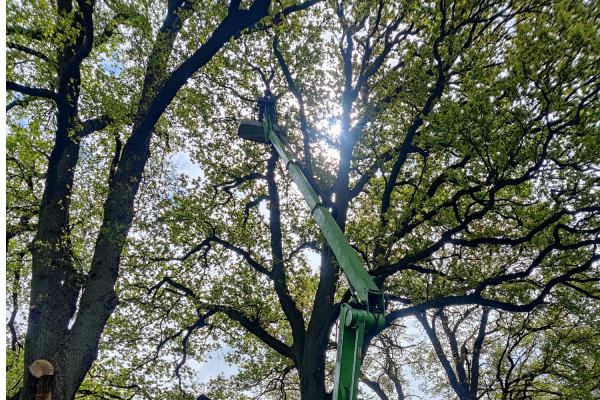 Besteed jouw landgoed beheer uit aan de professionele boomverzorgers van Groentechniek Klomp.