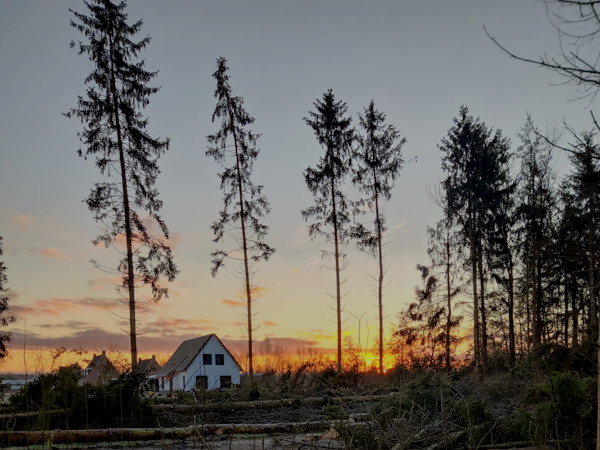 Een mooi landgoed ontstaat door goed landgoedbeheer van Groentechniek klomp.