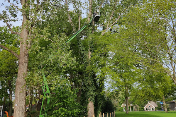 Een mooie groenvoorziening verdient het beste onderhoud van de gespecialiseerde hoveniers en boomverzorgers van Groentechniek Klomp.