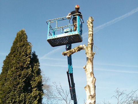 Boomverzoringsbedrijf Groentechniek Klomp houdt zich bezig met alle werkzaamheden rondom bomen