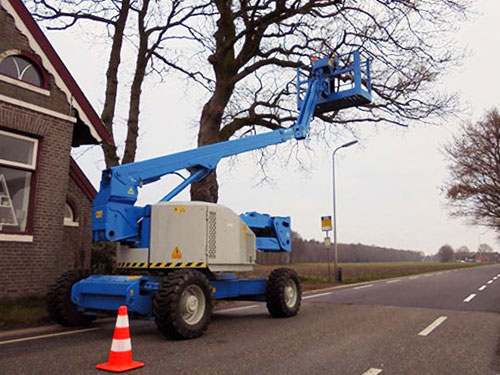 Het snoeien van bomen kan om veiligheidsredenen gedaan worden maar ook om vorm te behouden