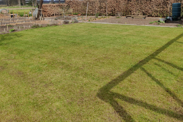 Onze hoveniers weten precies hoe ze het beste jouw onkruid kunnen verwijderen op milieuvriendelijke manier.