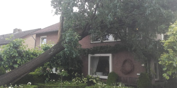 Omgewaaide boom ligt op woning.